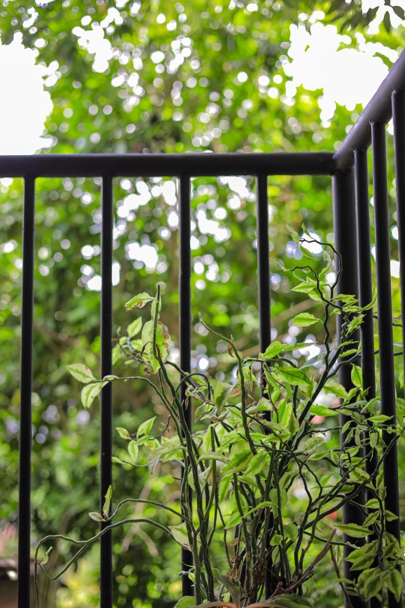 Cielo Residence แคนดี้ ภายนอก รูปภาพ