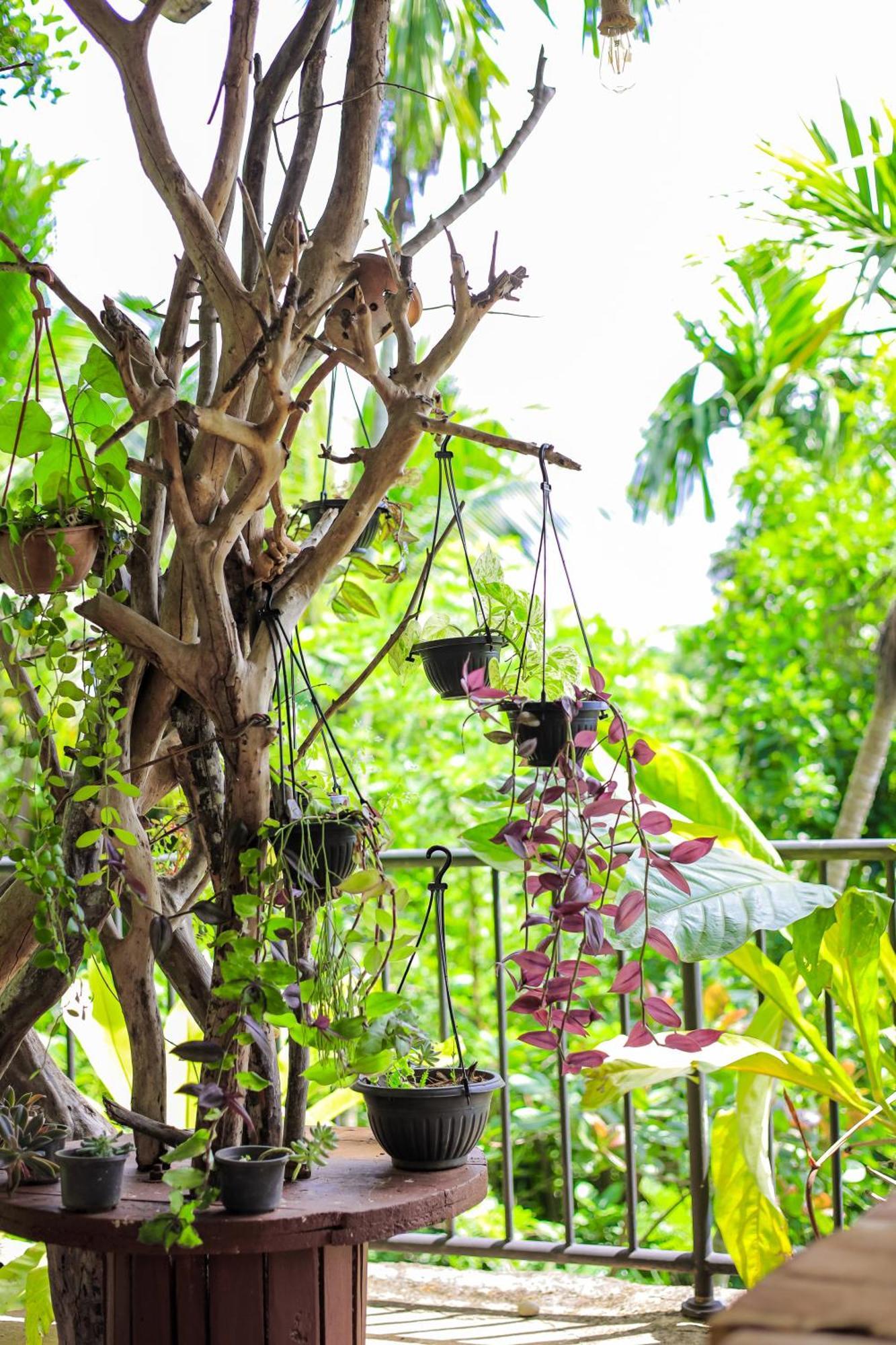 Cielo Residence แคนดี้ ภายนอก รูปภาพ
